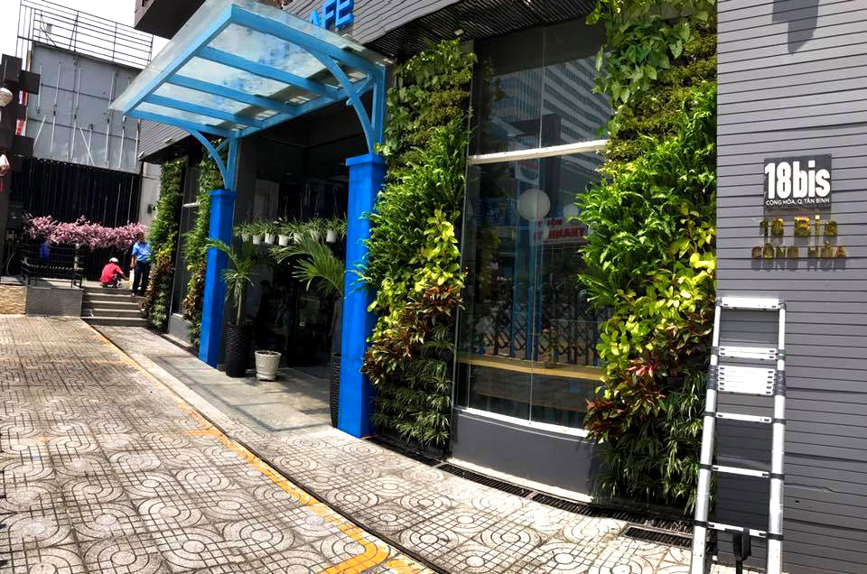 thiết kế vườn tường cây xanh cho quán cafe
