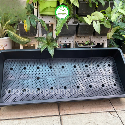 khay-dai-trong-rau-dai-1m