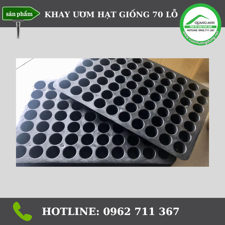 khay_uom_hat_giong_quang_anh