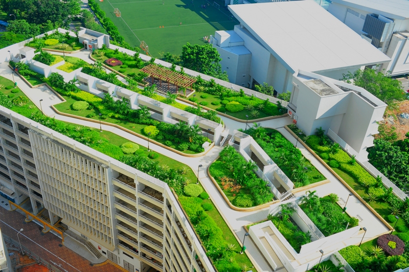 vườn trên mái của Quang Anh HCM thi công là tác phẩm nghệ thuật