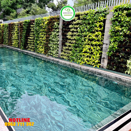 mau-vuon-tuong-cay-ho-boi-1