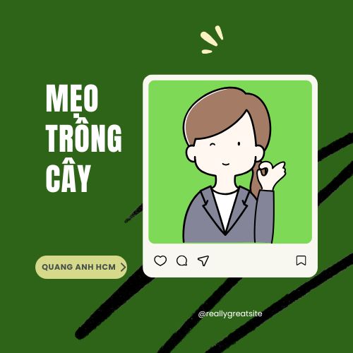 meo-trong-cay