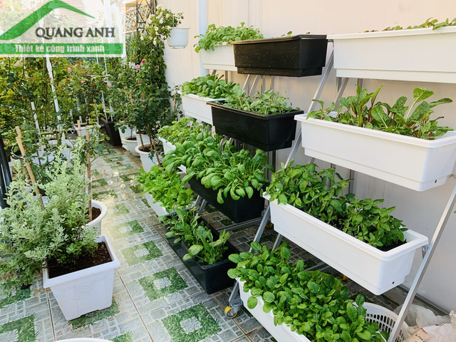 Dùng giàn trồng rau của Quang Anh HCM giúp dễ dàng di chuyển khi trời mưa