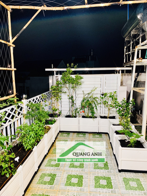 Quang Anh HCM thiết kế thi công vườn rau sạch giá rẻ tại nhà 