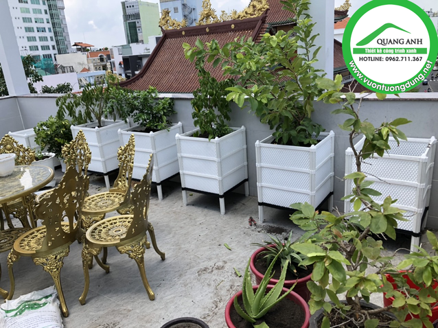 Quang Anh HCM chuyên thi công vườn rau sạch tại nhà 