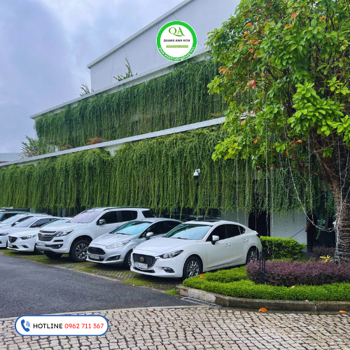 thi-cong-tuong-cay-xanh-tai-kdt-van-phuc-1