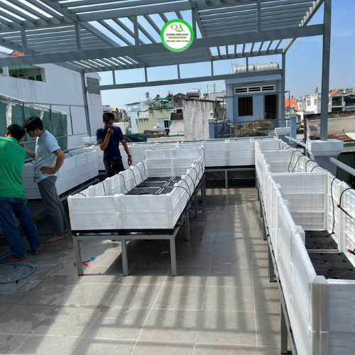 thi-cong-vuon-rau-binh-duong