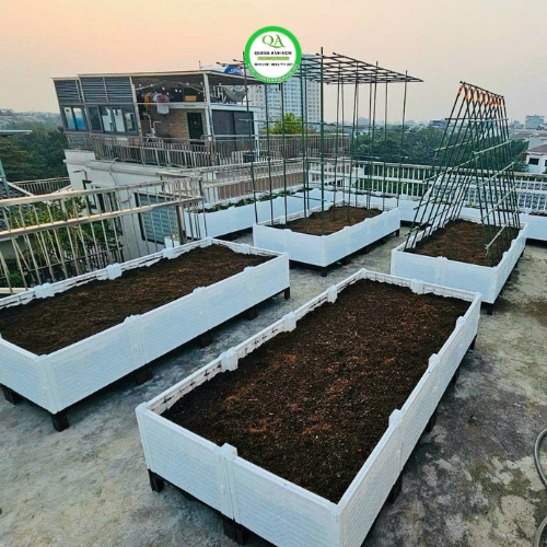 thi-cong-vuon-rau-chau-ghep-4