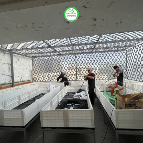 vuon-rau-chau-ghep-mau-trang