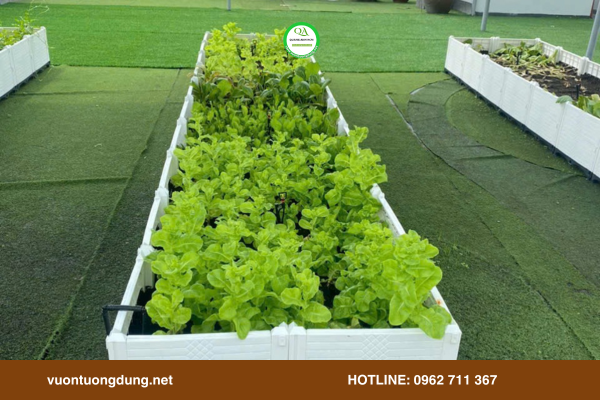 thi-cong-vuon-rau-chau-ghep-tphcm2