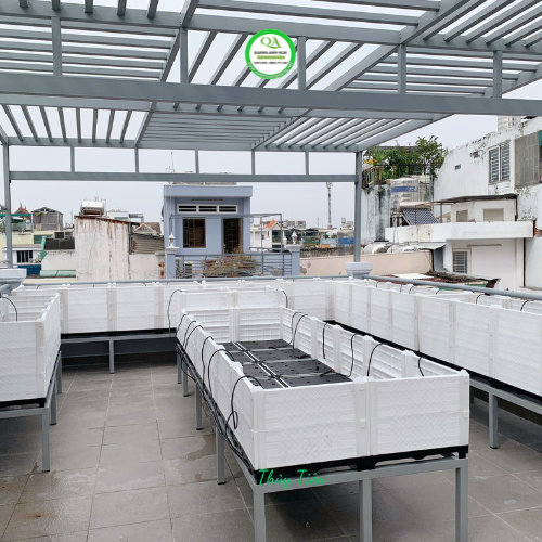 thi-cong-vuon-rau-hoc-mon