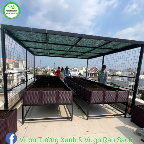 thi-cong-vuon-rau-chau-ghep-nau-3
