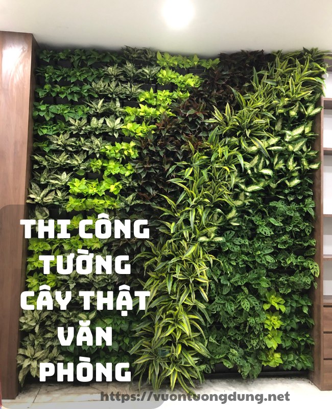 thi công vườn tường đứng phòng làm việc