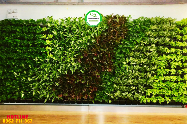 tuong-cay-xanh-an-tuong-cho-nha-o