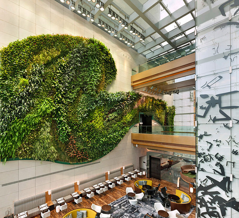 Mô hình vườn tường đứng của Quang Anh HCM sẽ khiến cho quán cà phê của bạn thật ấn tượng và khác biệt.