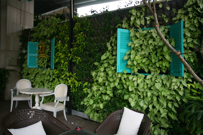 mô hình vườn tường đứng đẹp cho các quán cà phê 
