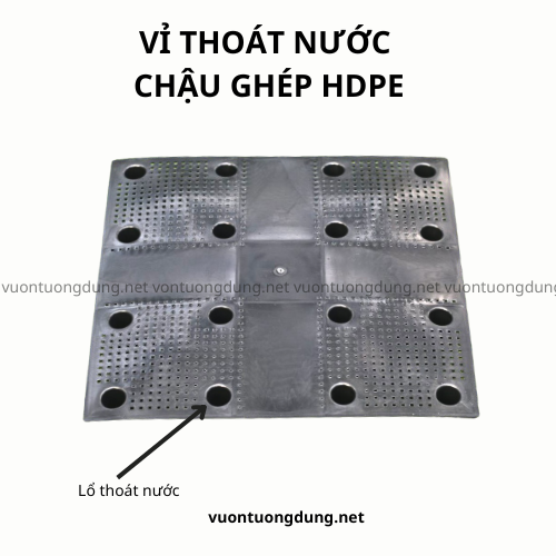 vỉ chậu ghép hdpe