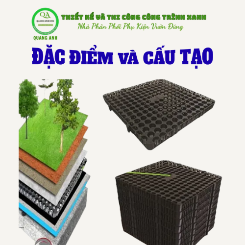 vi-thoat-nuoc-dac-diem
