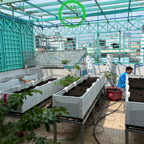 vuon-rau-san-thuong-5