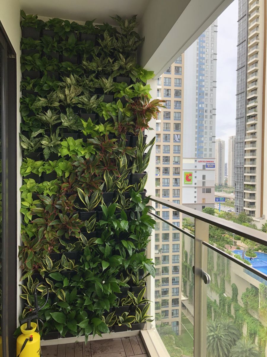 Quang Anh HCM chuyên thi công vườn tường đứng đẹp, giá rẻ, chuyên nghiệp
