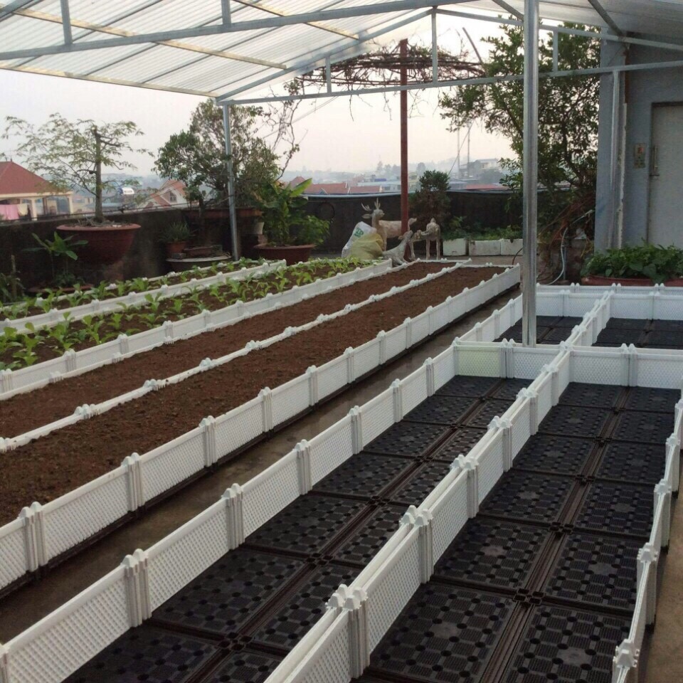 Vườn rau sạch trên sân thượng với chậu ghép thông minh Quang Anh HCM