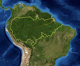 Nghiên cứu đáng buồn: rừng Amazon đã trở thành nguồn gây ô nhiễm không khí, tỏa ra nhiều CO2 hơn lượng nó hấp thụ được