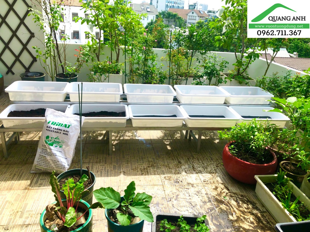 Quang Anh thiết kế kệ trồng rau sạch thông minh trên sân thượng gọn gàng