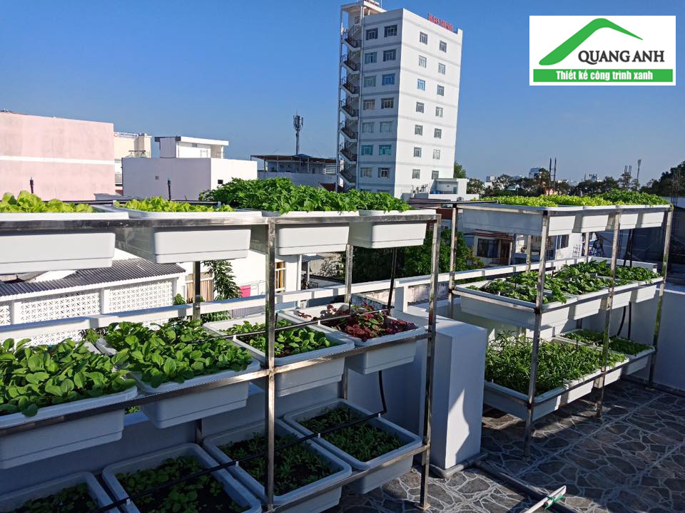 Dịch vụ thiết kế vườn rau sạch tại nhà -  Quang Anh HCM