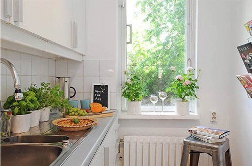 8 loại cây cảnh nên trồng trong nhà bếp vì có khả năng lọc không khí và khử mùi cực tốt