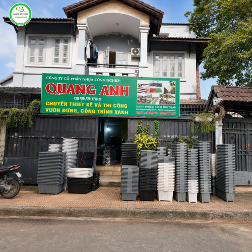 Các Loại Chậu Nhựa Trồng Cây Phổ Biến, Bền Đẹp Hiện Nay 