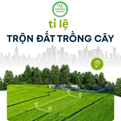Cách ủ đất trồng rau theo tỉ lệ chuẩn nhất 2025 Cách ủ đất trồng rau theo tỉ lệ chuẩn nhất 2025