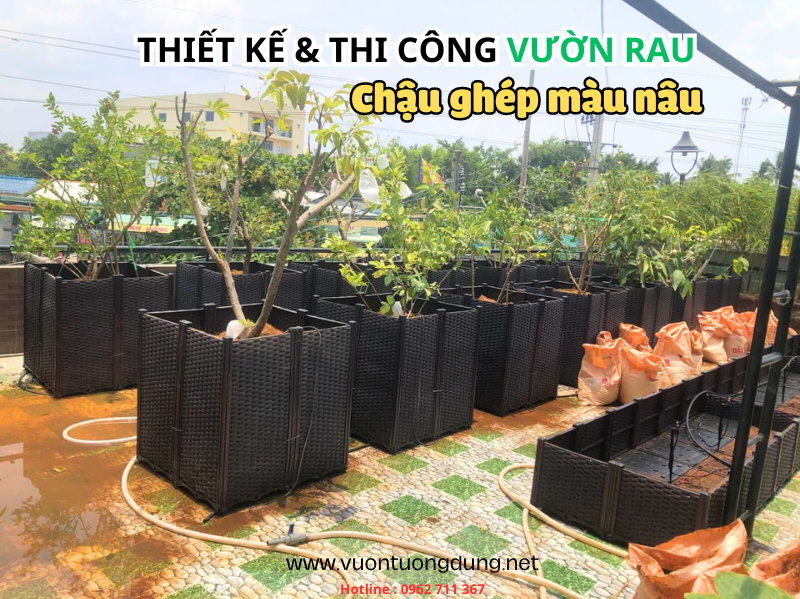 Vườn Rau Sân Thượng Với Chậu Ghép Màu Nâu