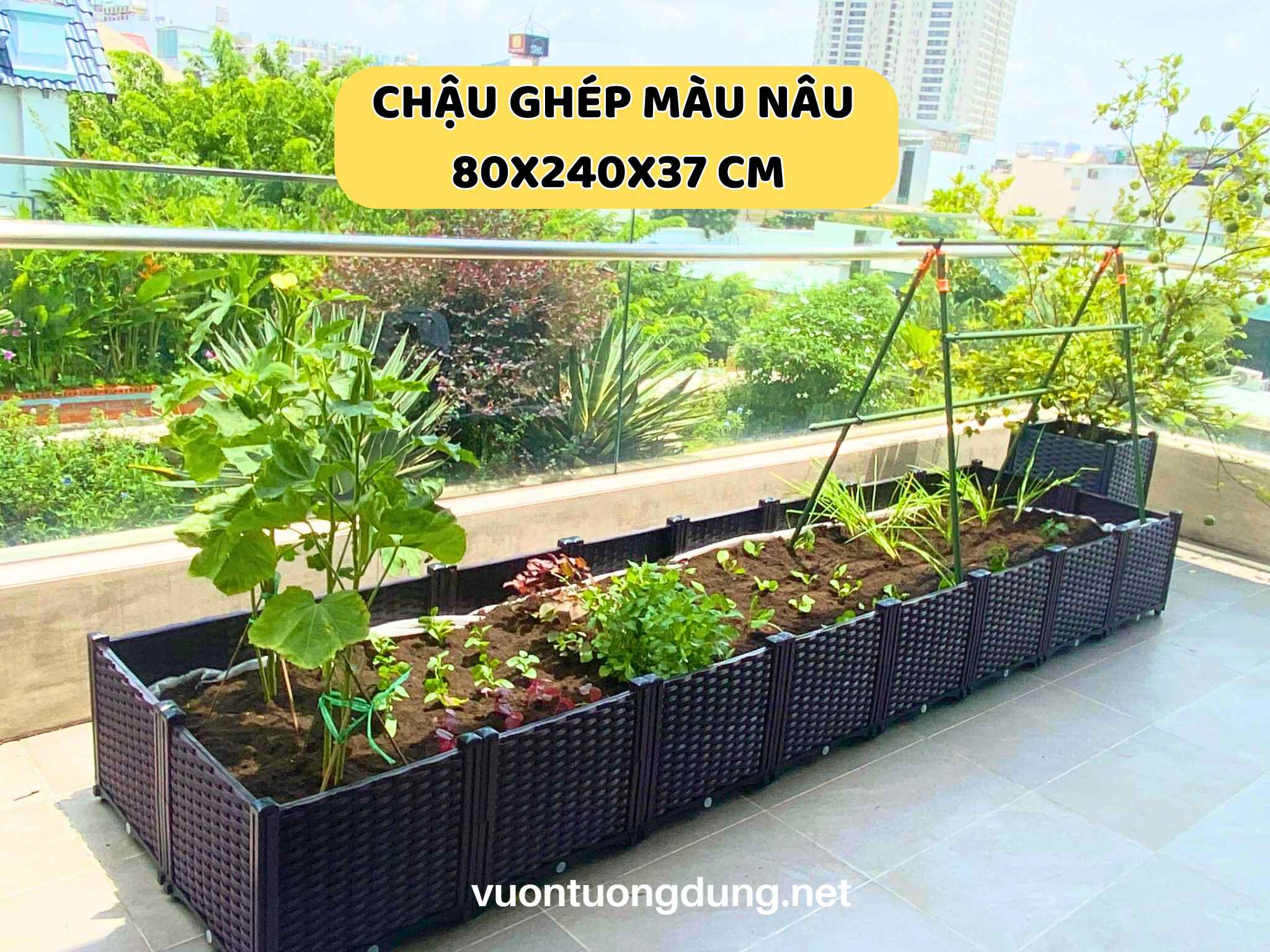 Luống ghép trồng rau thông minh 80x240x37 màu nâu