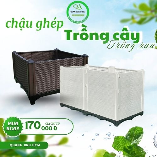 CHẬU GHÉP THÔNG MINH – GIẢI PHÁP TRỒNG CÂY & RAU SẠCH CHO GIA ĐÌNH NHỎ CHẬU GHÉP THÔNG MINH – GIẢI PHÁP TRỒNG CÂY & RAU SẠCH CHO GIA ĐÌNH NHỎ