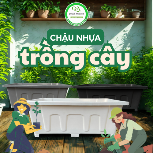 CHẬU NHỰA TRỒNG CÂY, NUÔI CÁ GIÁ RẺ TẠI TP.HCM