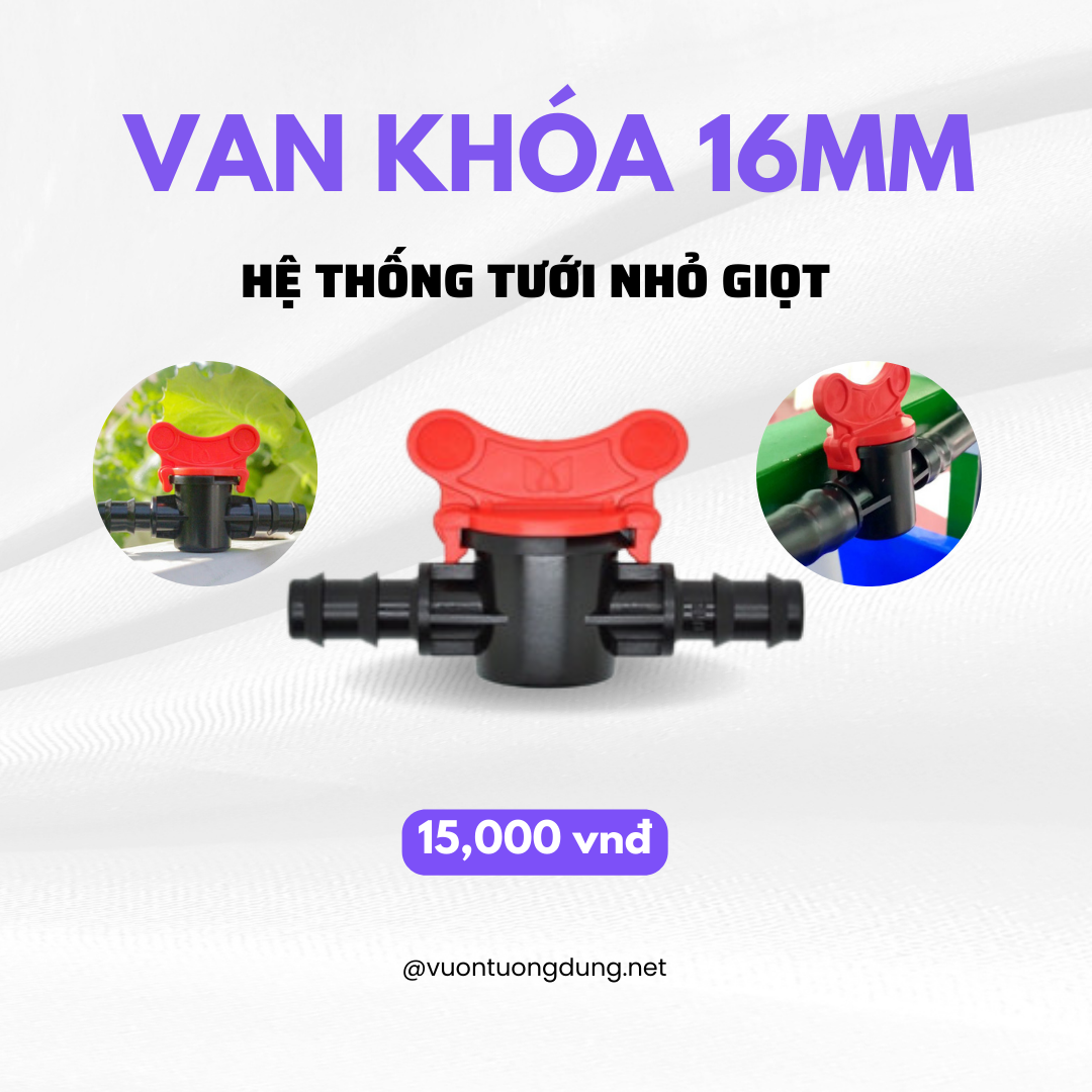 Van Khóa Nước, Khóa Ống LDPE 16mm - Phụ Kiện Tưới Quang Anh