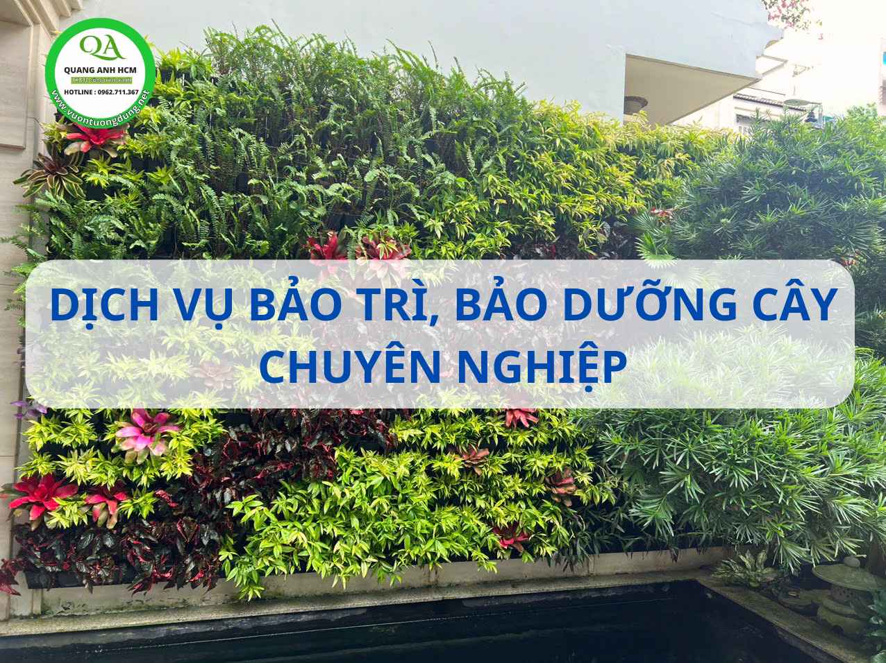 Dịch Vụ Bảo Trì, Bảo Dưỡng Vườn Tường Đứng Tại Hồ Chí Minh