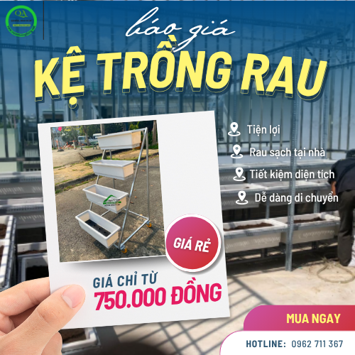 Báo giá Giàn trồng rau - Giải pháp làm vườn cho nhà ở đô thị Báo giá Giàn trồng rau - Giải pháp làm vườn cho nhà ở đô thị