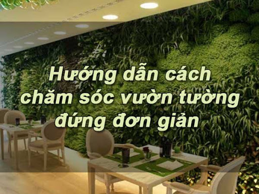 Cách chăm sóc vườn tường đứng đơn giản và hiệu quả nhất cho người mới bắt đầu trồng!