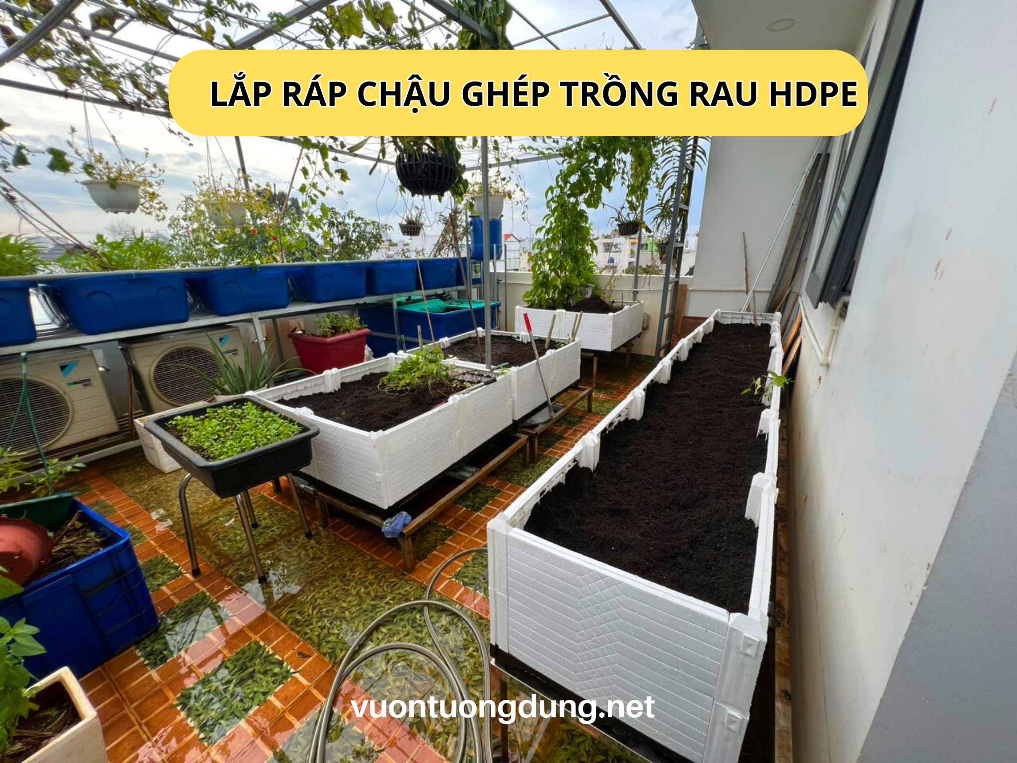 Lắp ráp chậu ghép thông minh HDPE cho vườn rau sạch tại HÓC MÔN