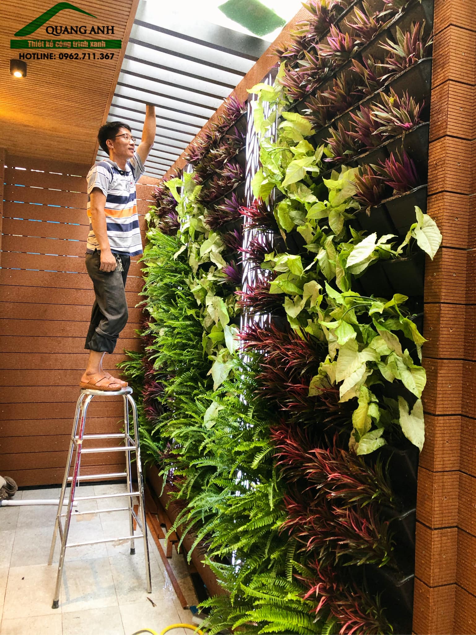 Tường cây trong nhà - Thiết kế và thi công tường cây văn phòng tại Hồ Chí Minh