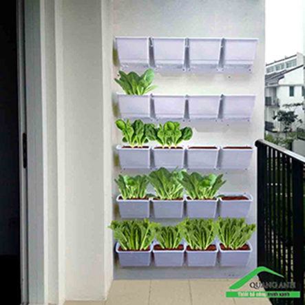 Địa chỉ bán modul vườn tường đứng chất lượng và giá rẻ nhất Địa chỉ bán modul vườn tường đứng chất lượng và giá rẻ nhất