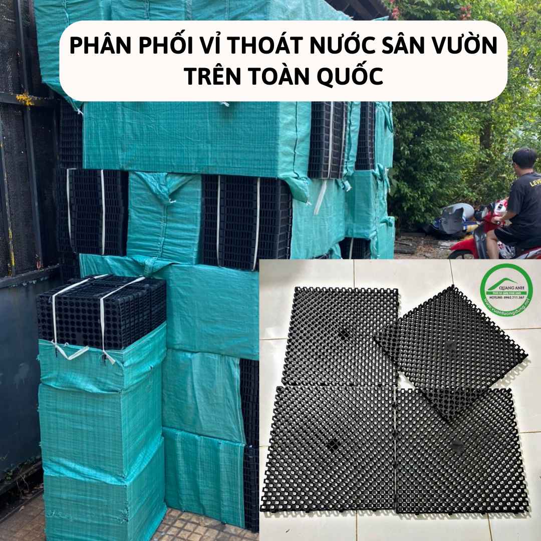 Phân Phối Vỉ Thoát Nước Sân Vườn 333x333x33 và 500x500x30 Giá Tận Xưởng