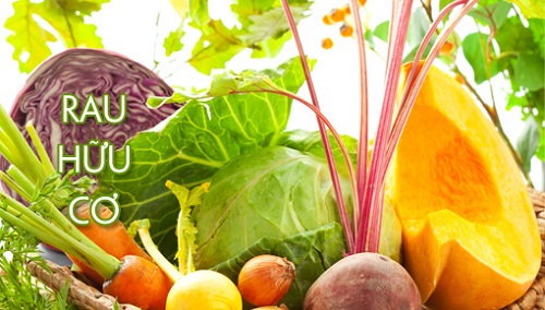 Ăn rau giàu nitrat mỗi ngày có thể giảm đáng kể nguy cơ mắc bệnh tim mạch và đột quỵ