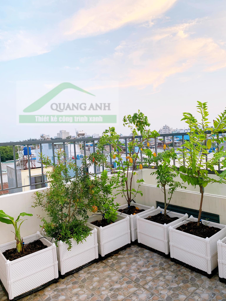 Thi công vườn rau sạch giá rẻ tại Trần Xuân Soạn - Quận 7