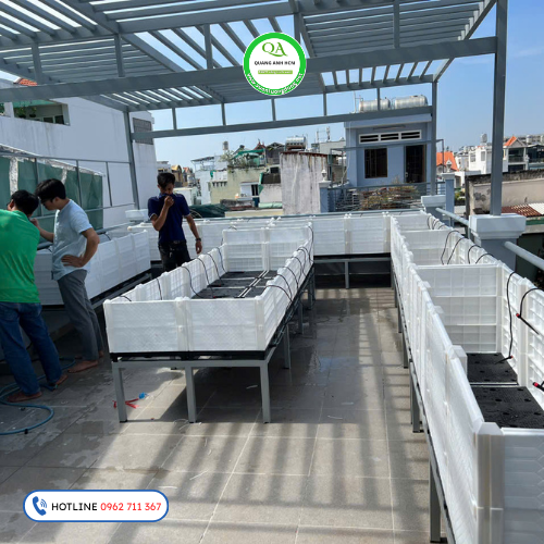 Chậu Ghép Trồng Rau Sân Thượng Có Tốt Không? Và Kết Quả Nhận Được Khi Bắt Tay Vào Thực Hiện