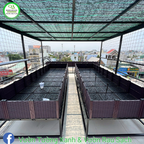 Thi Công Vườn Rau Sân Thượng Bằng Chậu Ghép Nâu Thông Minh Thi Công Vườn Rau Sân Thượng Bằng Chậu Ghép Nâu Thông Minh