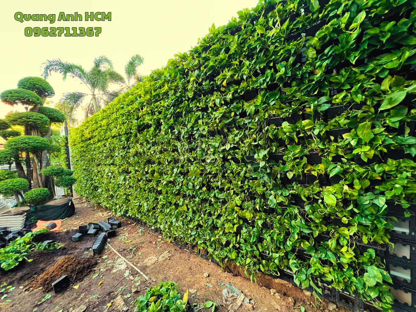 Thi công vườn tường xanh thẳng đứng tại Campuchia