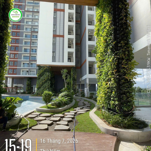 Thi Công Tường Cây Chuyên Nghiệp Tại Nhà Bè Đẹp TPHCM