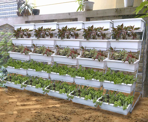 Thiết kế vườn rau trên sân thượng hiệu quả nhất-Chuyên gia công ty Quang Anh